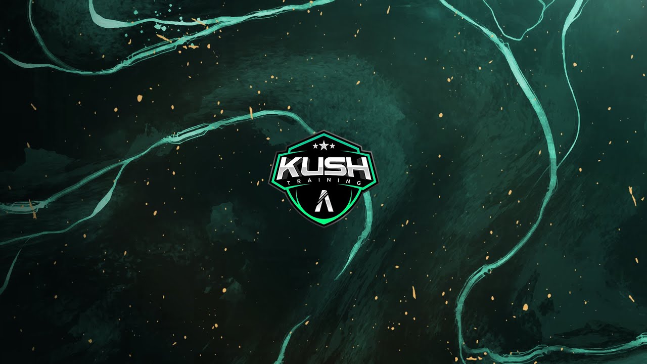 COMO TIRAR O CAMERA SHAKE DO FIVEM