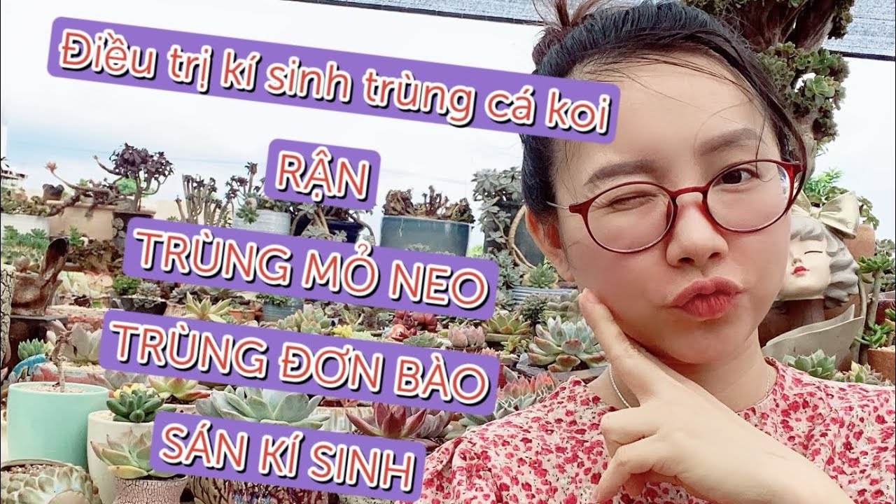 Tập 2: TRỊ KÍ SINH TRÙNG CÁ KOI, Trùng mỏ neo, rận nước, trùng bánh xe, sán….