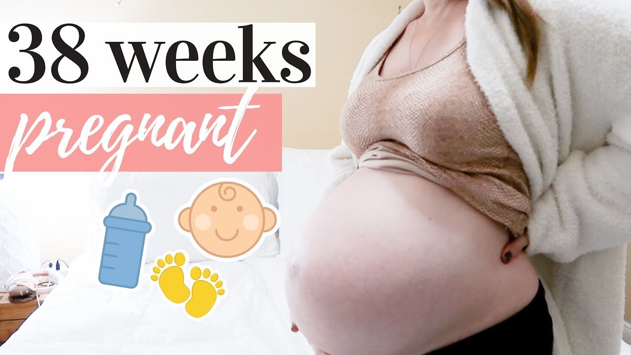 38 WEEK PREGNANCY UPDATE | SYMPTOMS? INDUCTION?