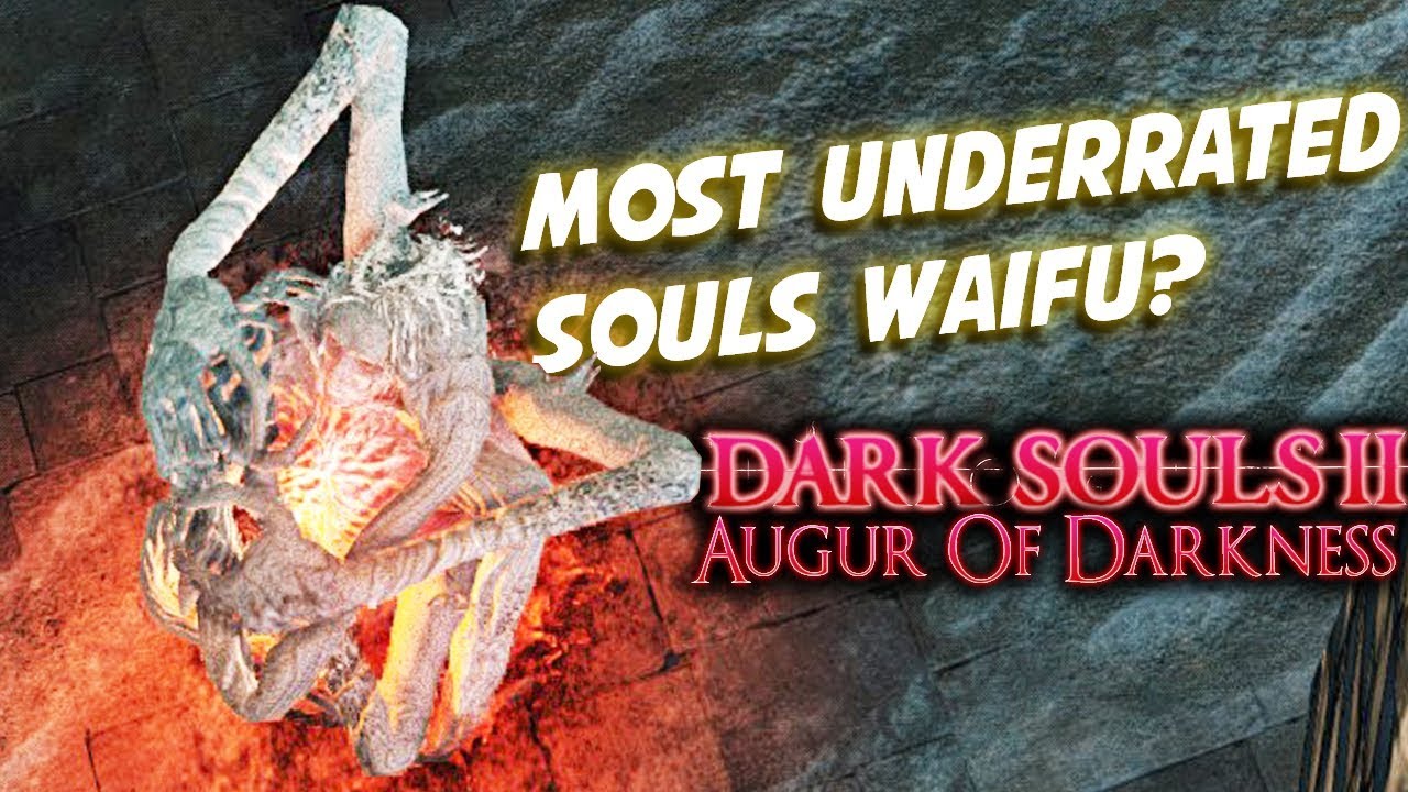 Into The BEST DLC - DS2 Augur Of Darkness Funny Moments #21
