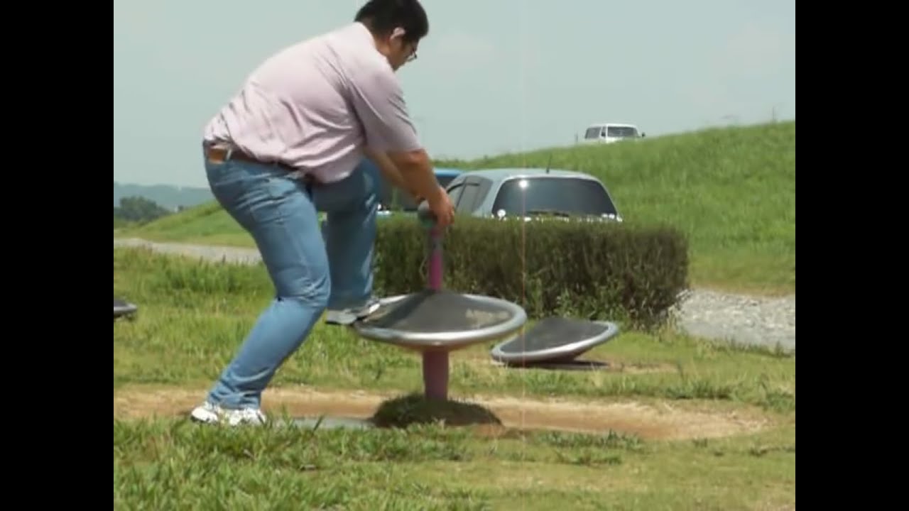 謎の柴又