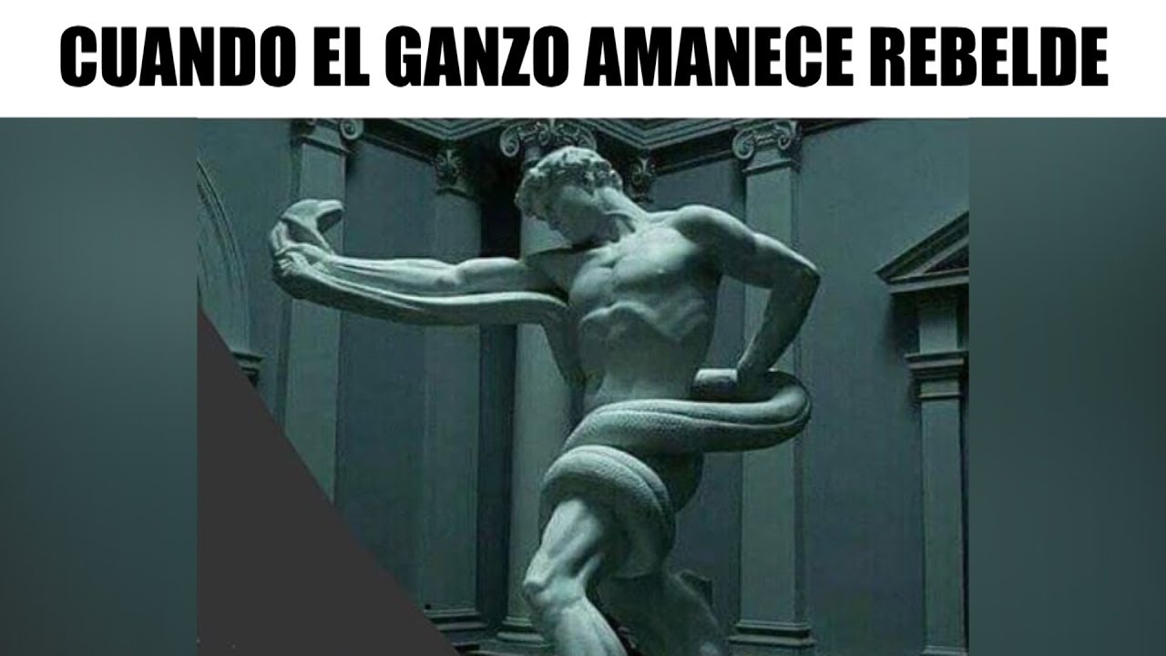 MEMES EPICOS #42