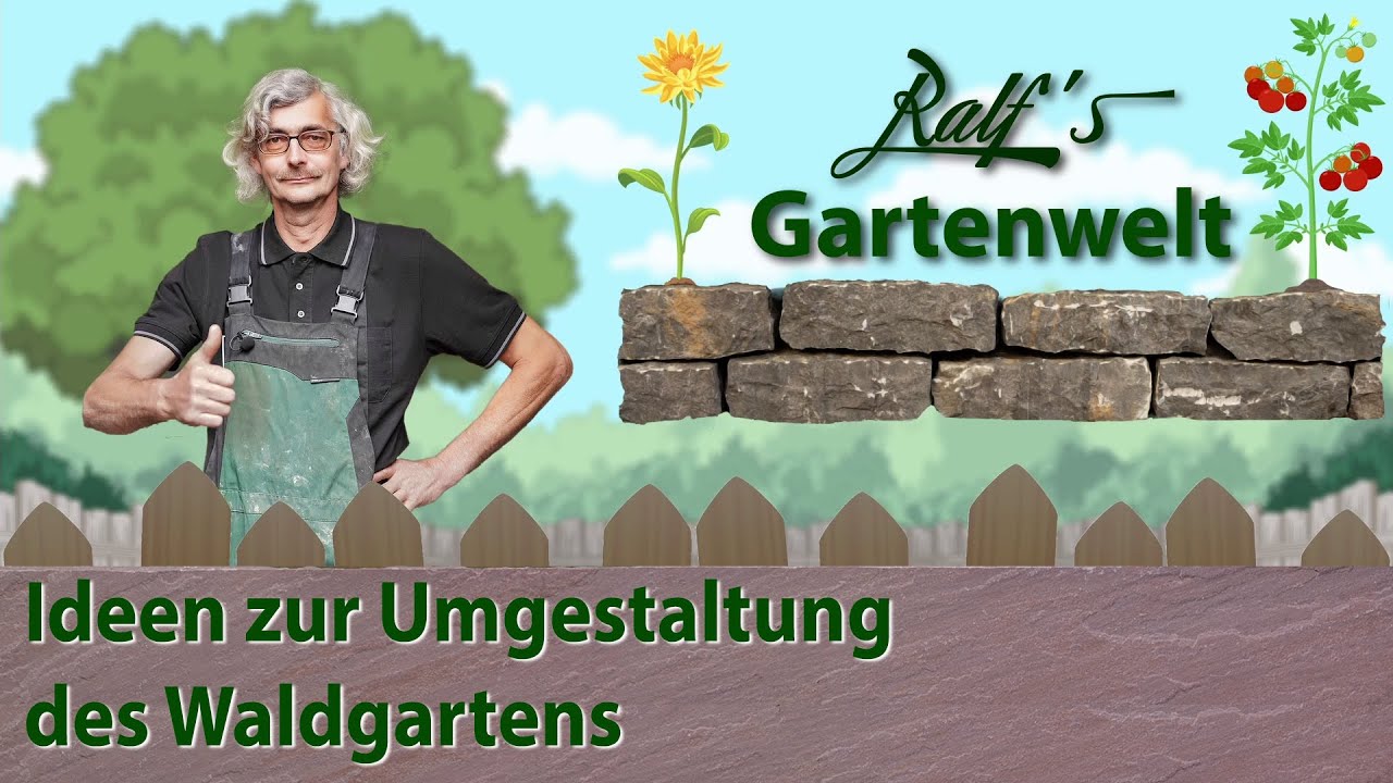 Ideen zur Umgestaltung des Waldgartens I Ralf´s Gartenwelt