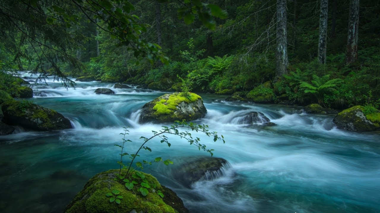 10 Hours of Relaxing River Sounds - Flowing Water and Forest Creek Ambience  #5