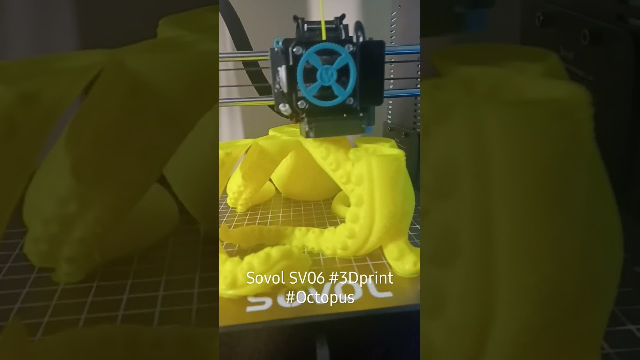 Sovol SV06  