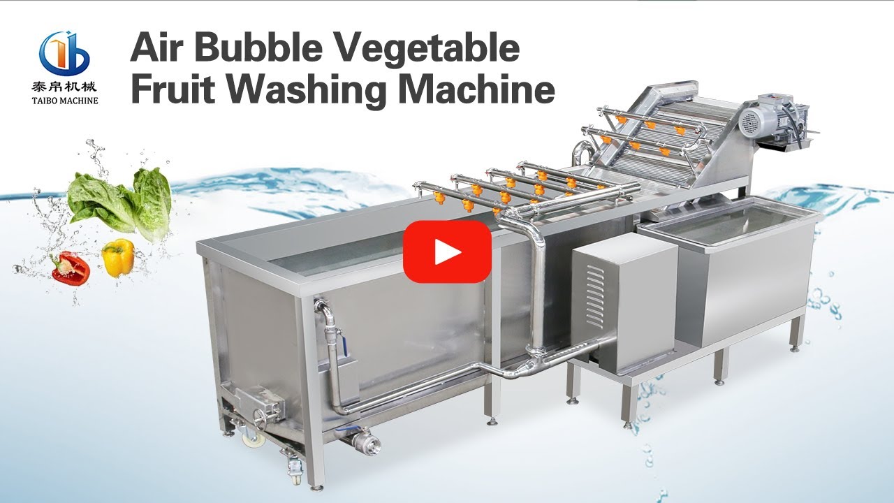 Air Bubble Vegetable Fruit Washing Machine for Factory