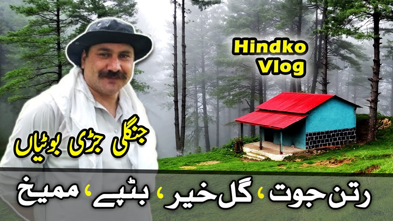 Kakul Forest Is Beautiful Than Thandiani | رات  جنگل  میں  | JD Food Hunter