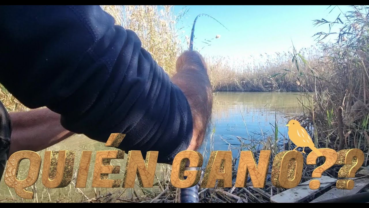 QUIEN GANO?? 🤔🎣🐟
