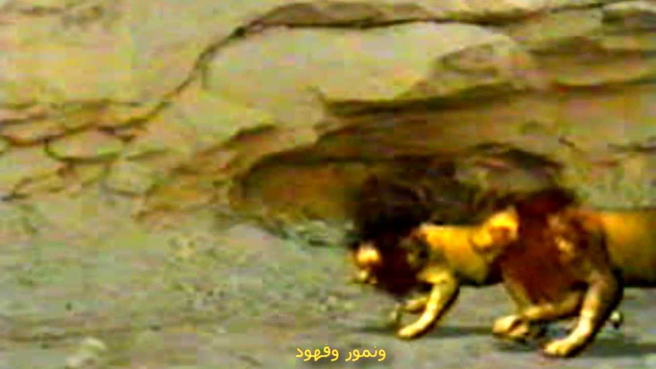 مديح الأنبا أنطونيوس