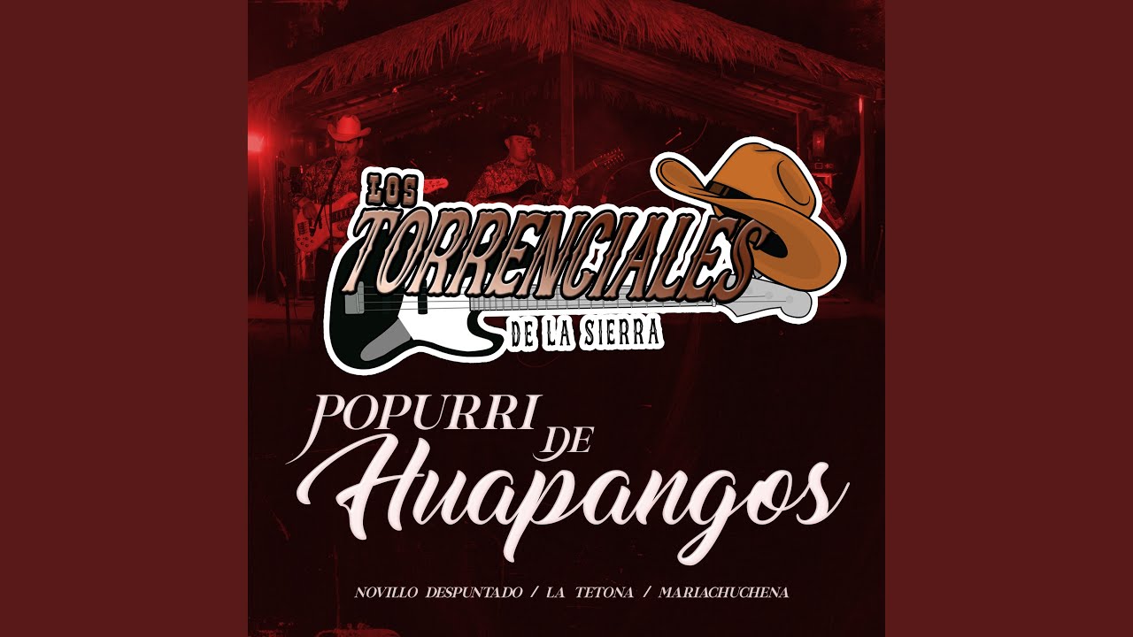 Popurri de Huapangos: Novillo Despuntado / La Tetona / Mariachuchena