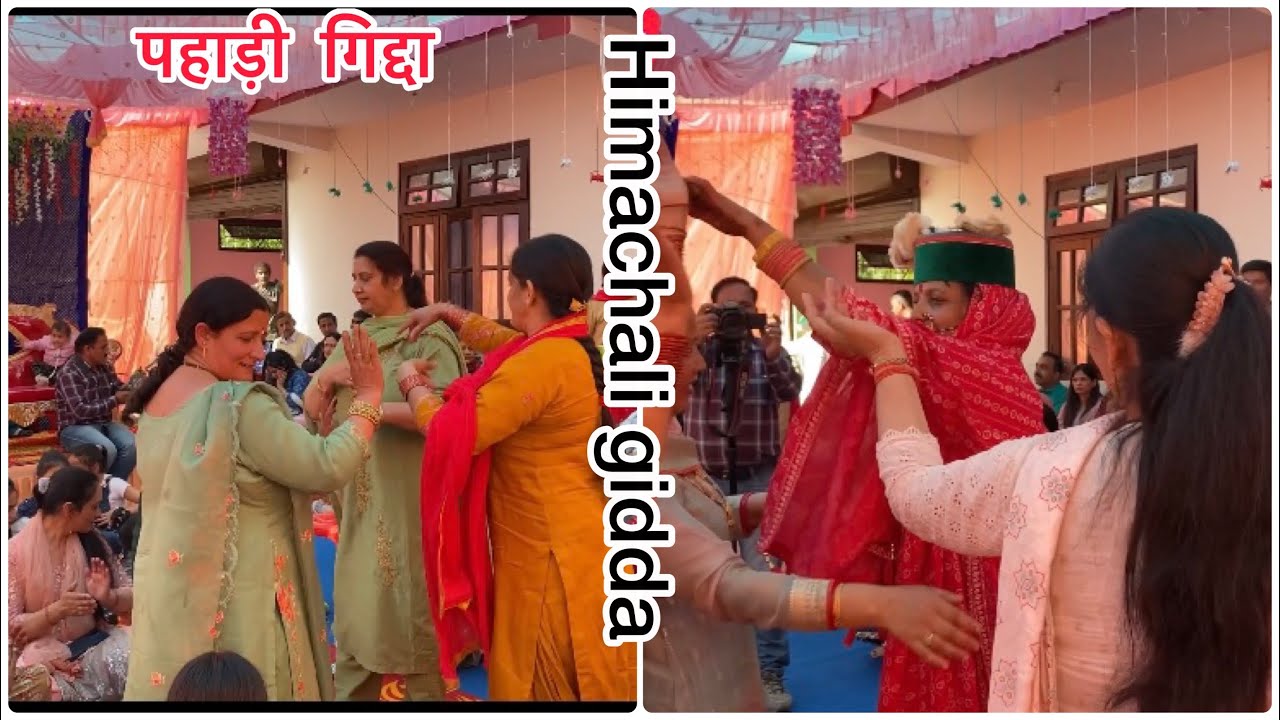 Himachali gidda // बागल वालों का गिद्दा // Himachali gidda Arki