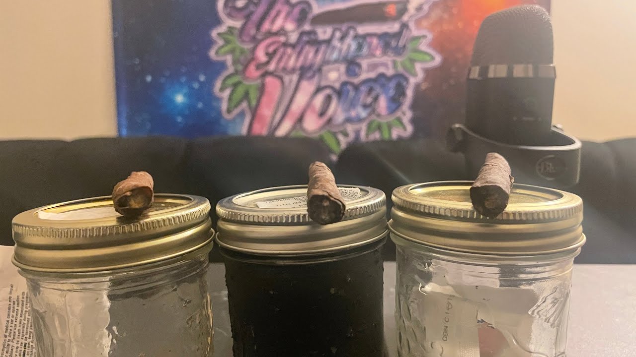 Marijuana Mayhem: Runtz Triple Threat Battle. Story Cannabis Co Vs 1937 Cannabis Vs Sunmed