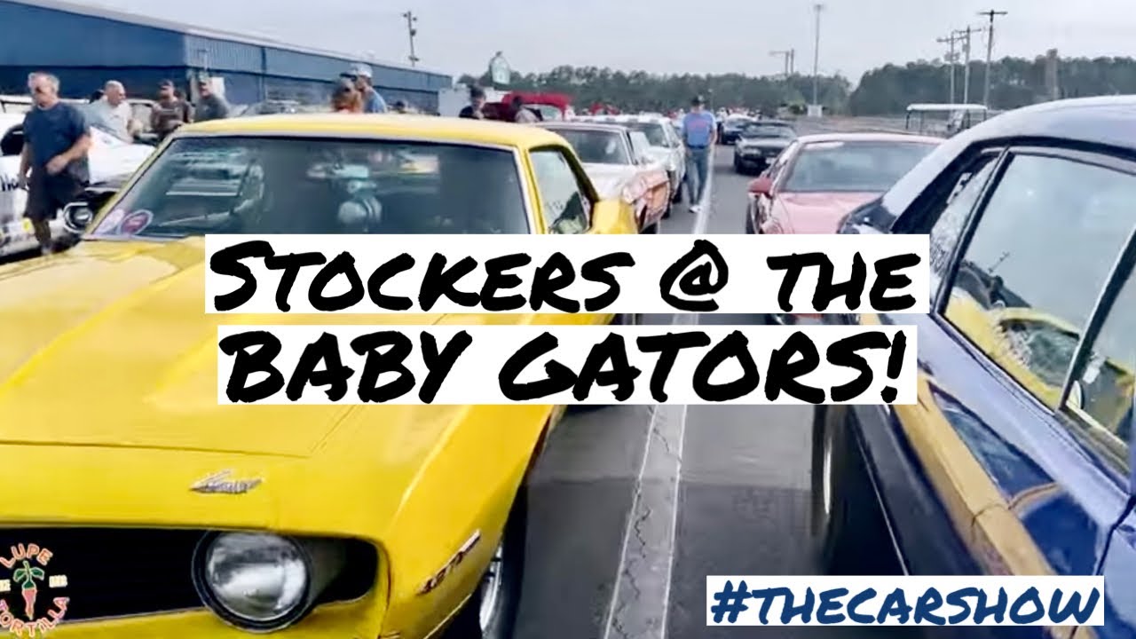 2023 Baby Gators Stock Eliminator NHRA Drag Racing Interviews Muscle Cars #thecarshow Gainesville FL