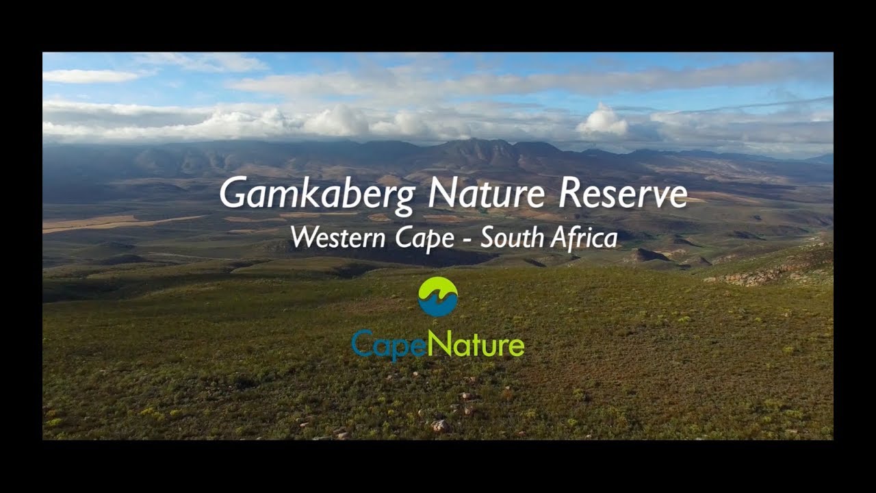 Gamkaberg Nature Reserve: discover the Klein Karoo of South Africa