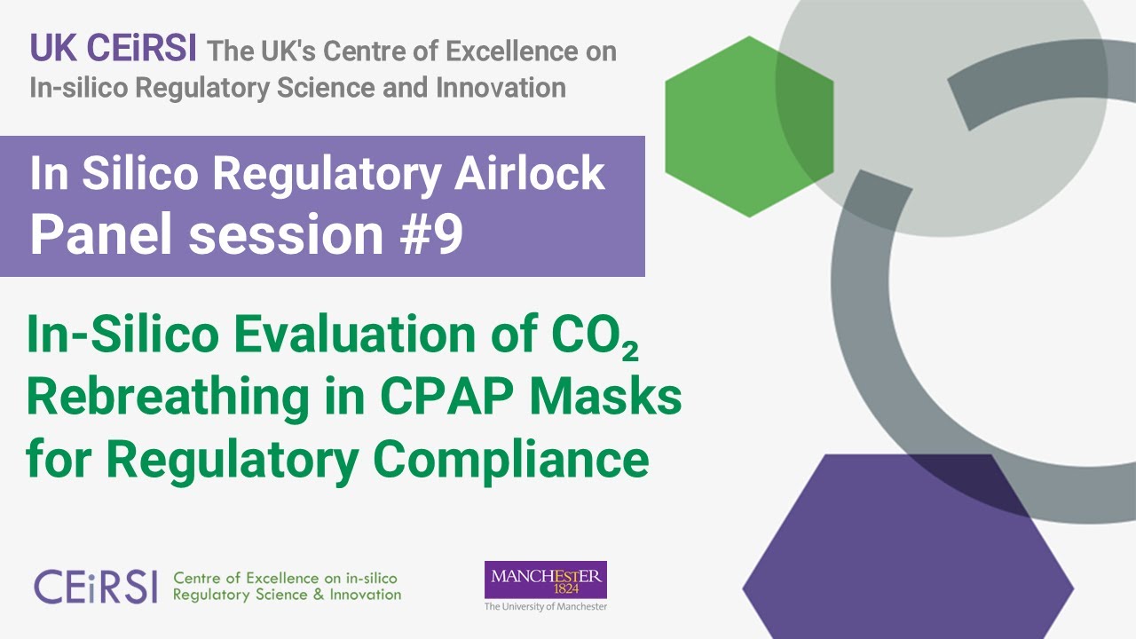 UK CEiRSI Airlock Panel: In-Silico Models of CO₂ Rebreathing in CPAP Masks