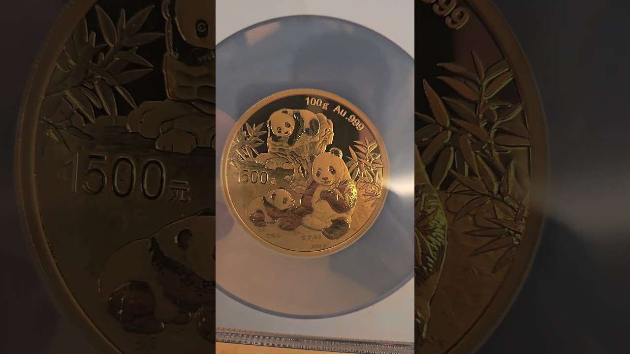 2025 Gold Panda Proofs #coin #coincollecting #goldcoin #coincollecting #coinstobuy2025 #china