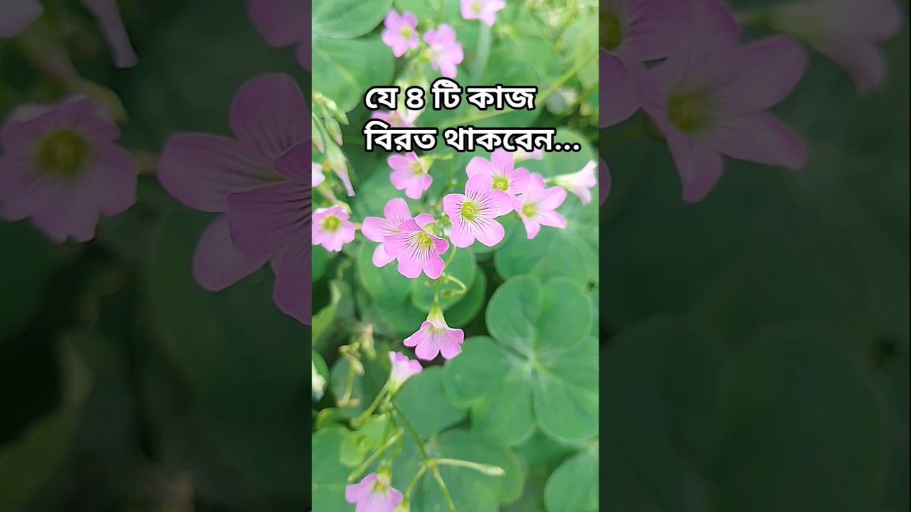 যে ৪ টি কাজ বিরত থাকবেন...