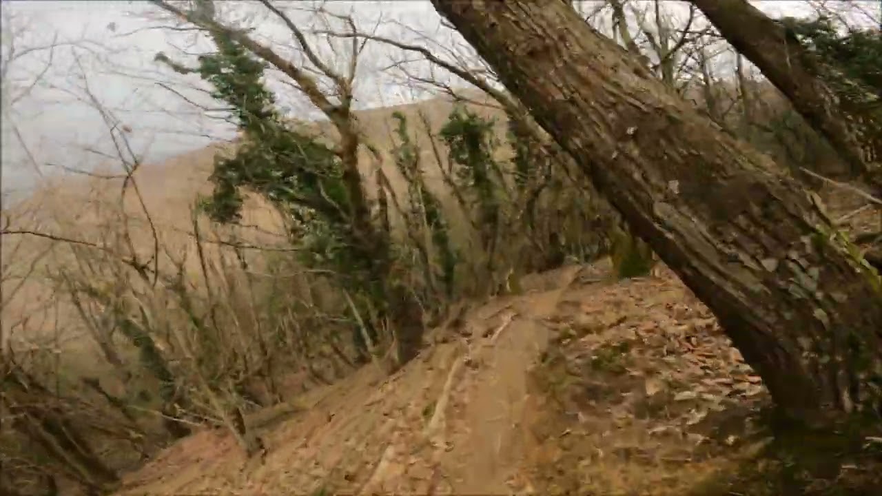MTB Monte Fasce 1 Caduta 2026   09 03 2026
