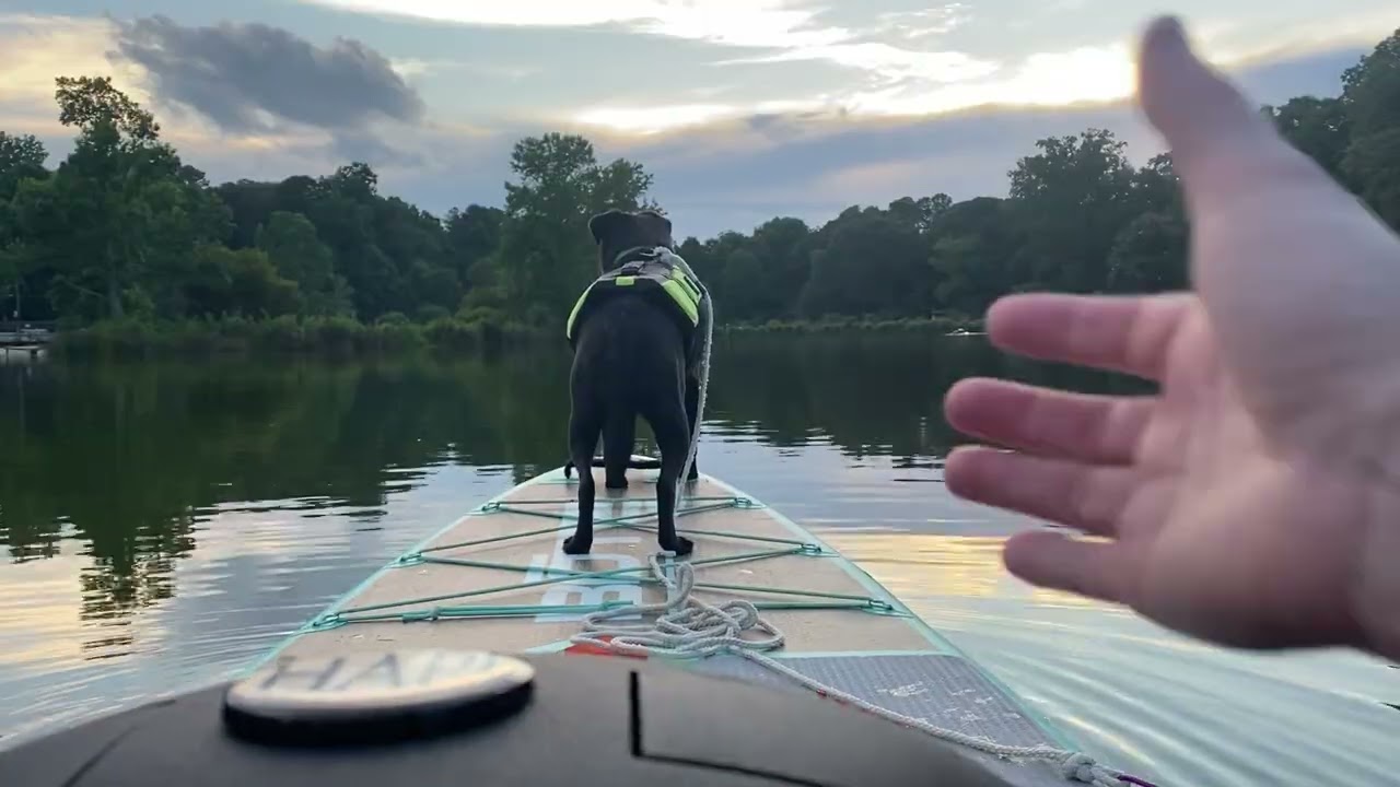 Sunset tongue drum