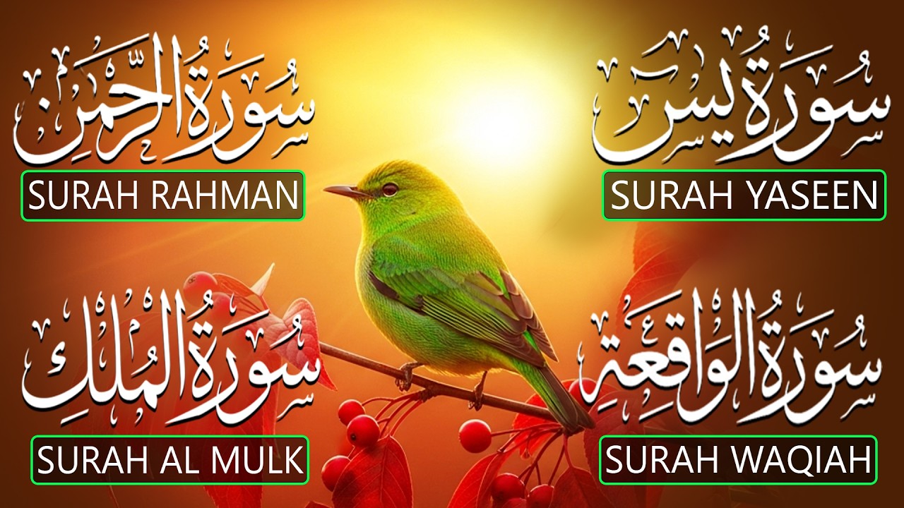 Very Nice Voice Surah Yaseen (Yasin) | Surah Rahman | Surah Waqiah | Surah Mulk | By Ashraf Hussein