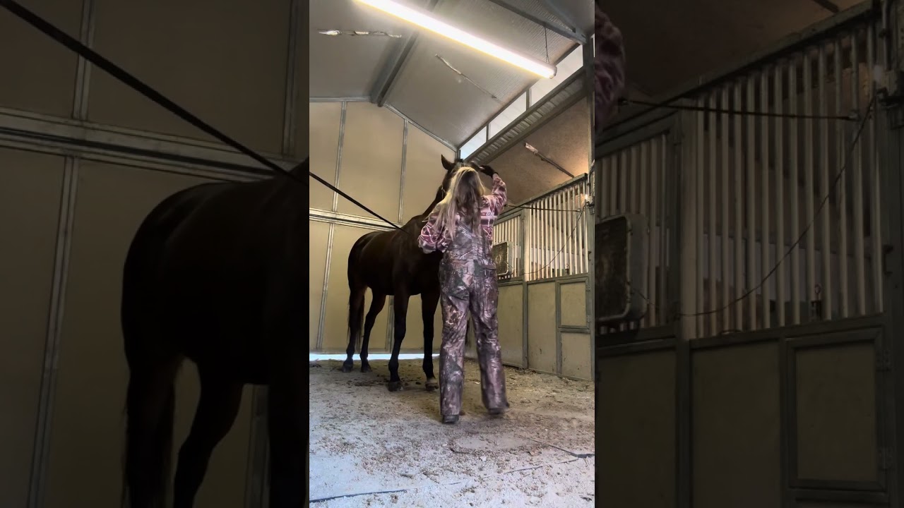 Erica grooming and tacking