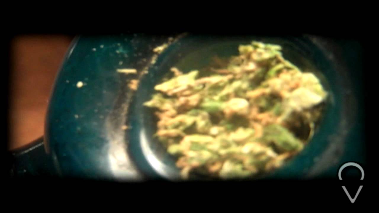Rasta Courage [HD]