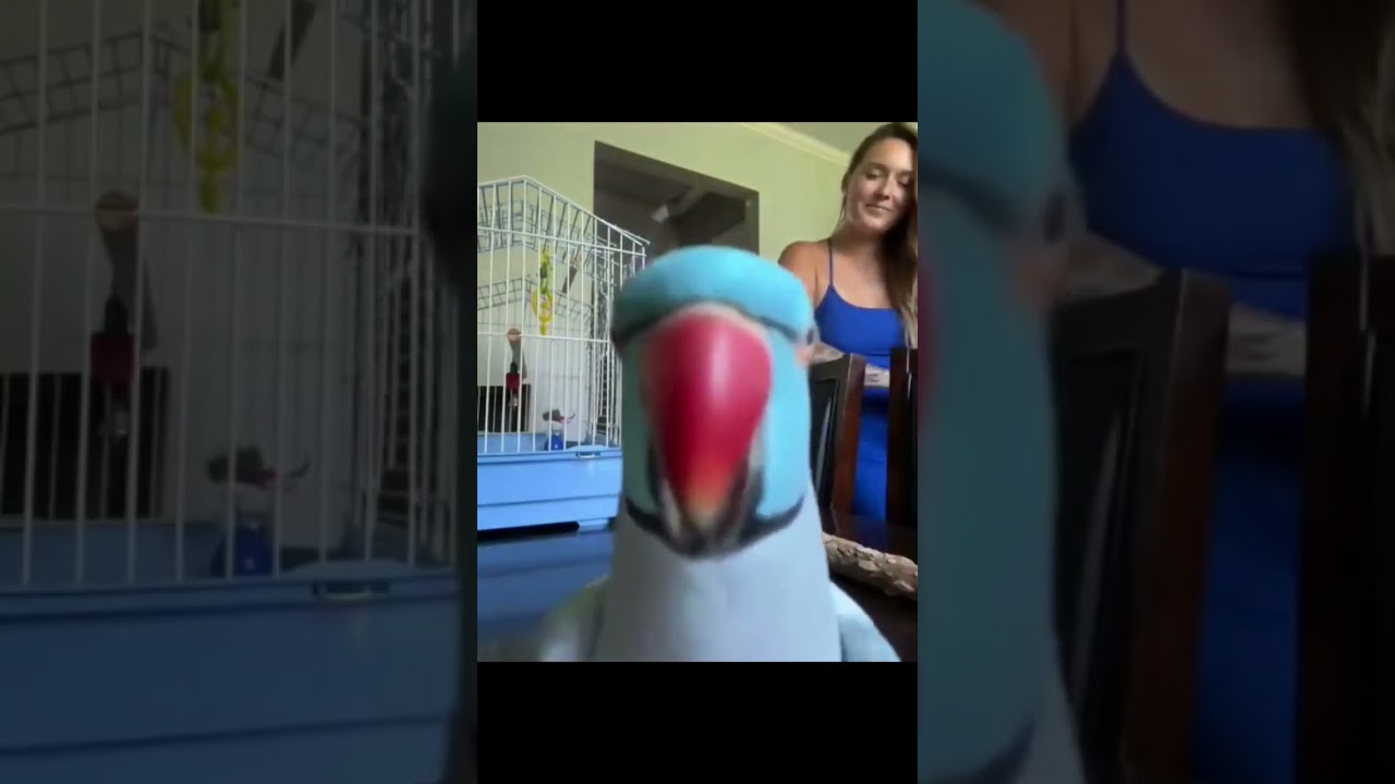 Eu não cometo erros