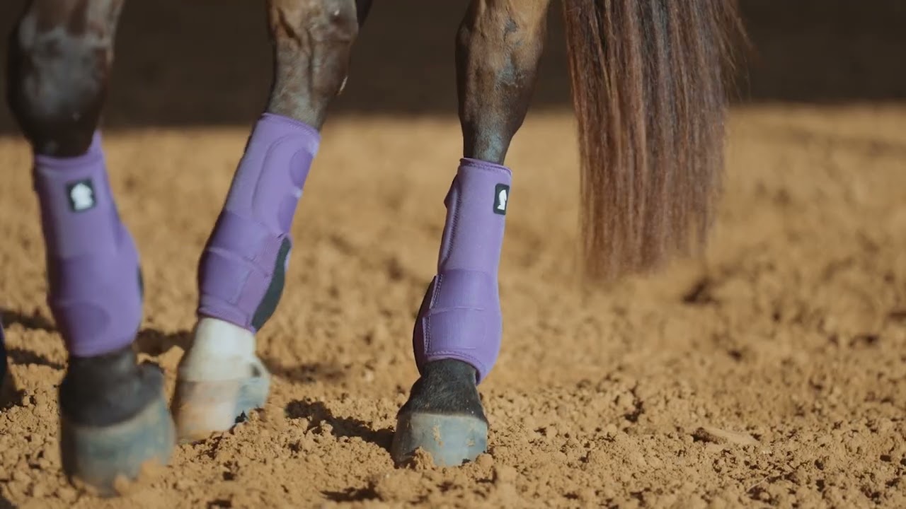 Classic Equine Legacy2 Support Boots, Violet