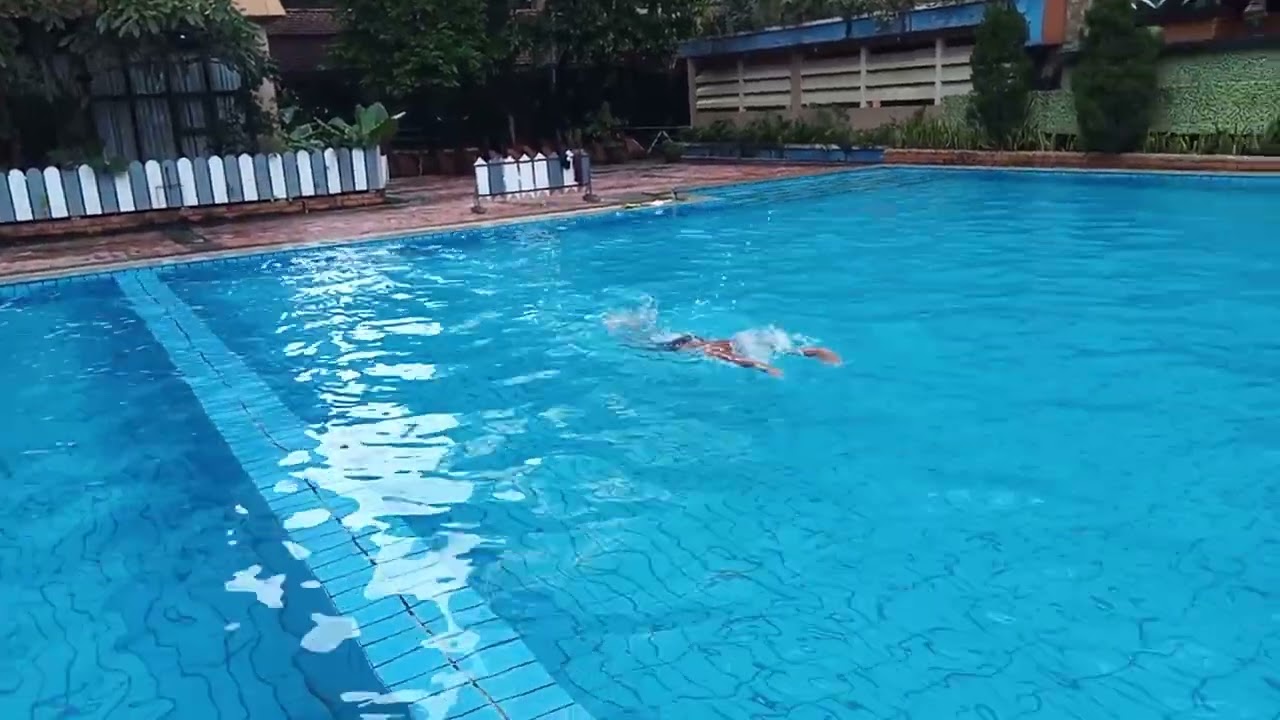 50M Butterfly
