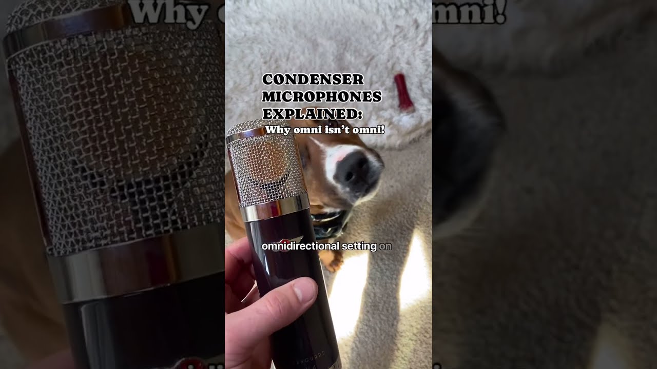 CONDENSER MICS EXPLAINED by Vanguard Audio Labs - Why Omni usually isn't omni!