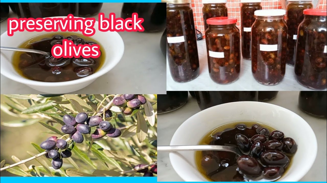 preserving black olives#curing black olives using only sea salt and olive oil