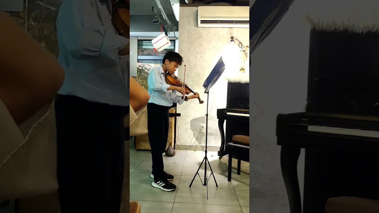 Sony VIOLIN