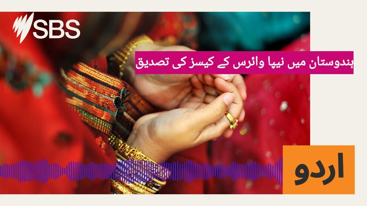 ہندوستان میں نیپا وائرس کے کیسز کی تصدیق | SBS Urdu - ایس بی ایس اردو