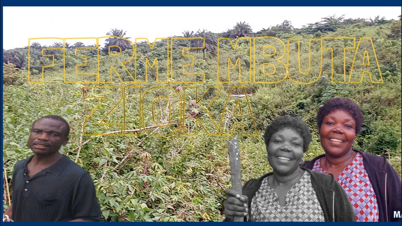 A LA DÉCOUVERTE ! LE GRAND FORÊT SITUÉ AU MILIEU DU BAS-CONGO/RDC DE PLEINE. #imbeyoziokatv #monde