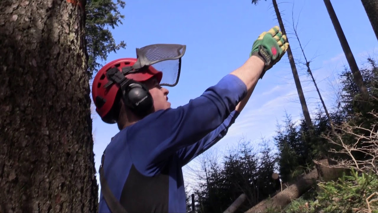 Ab&auml;cherli Forstunternehmen AG, Holzen f&uuml;r Seilkran GHV Koller Bergab Bringung