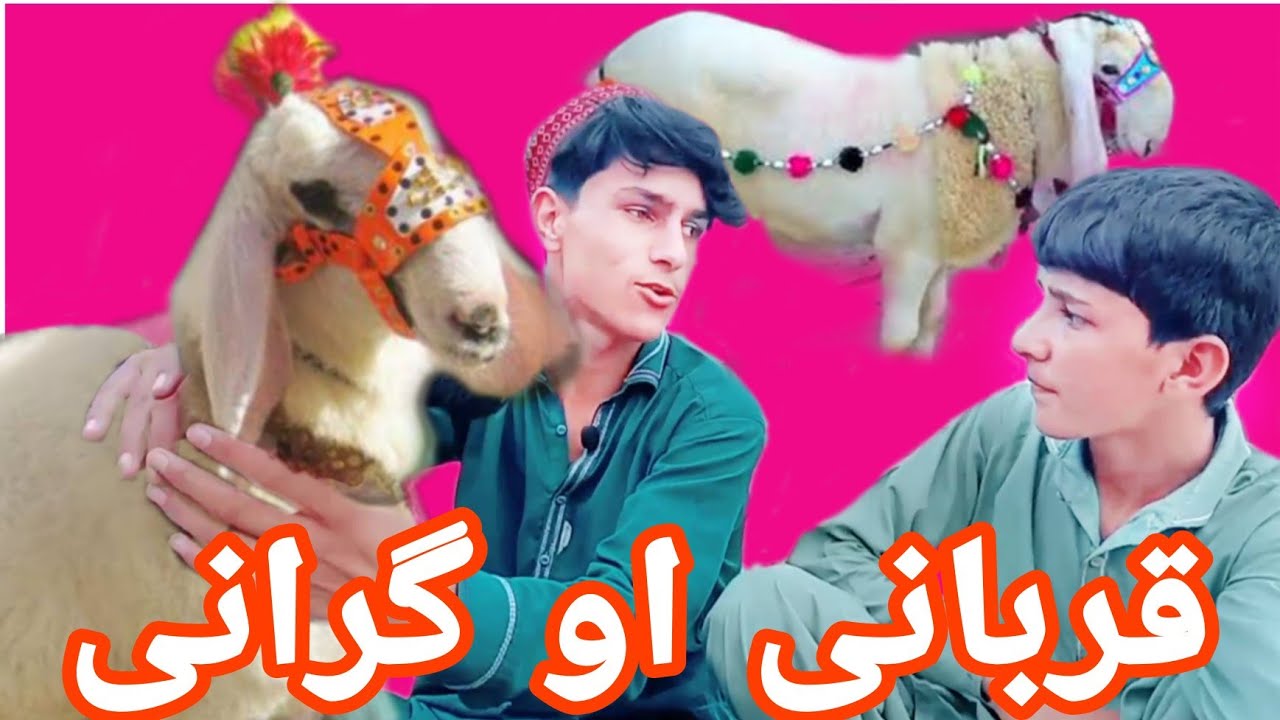 دہ نن سبا گرانی او قربانی 2022 نیو فنی ویڈیو گرانی او قربانی بھائی مکائیل خان آفیشل 2022 فنی ویڈیو
