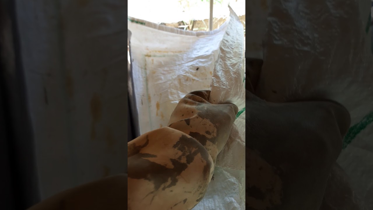 عملية تبريد خلية النحل