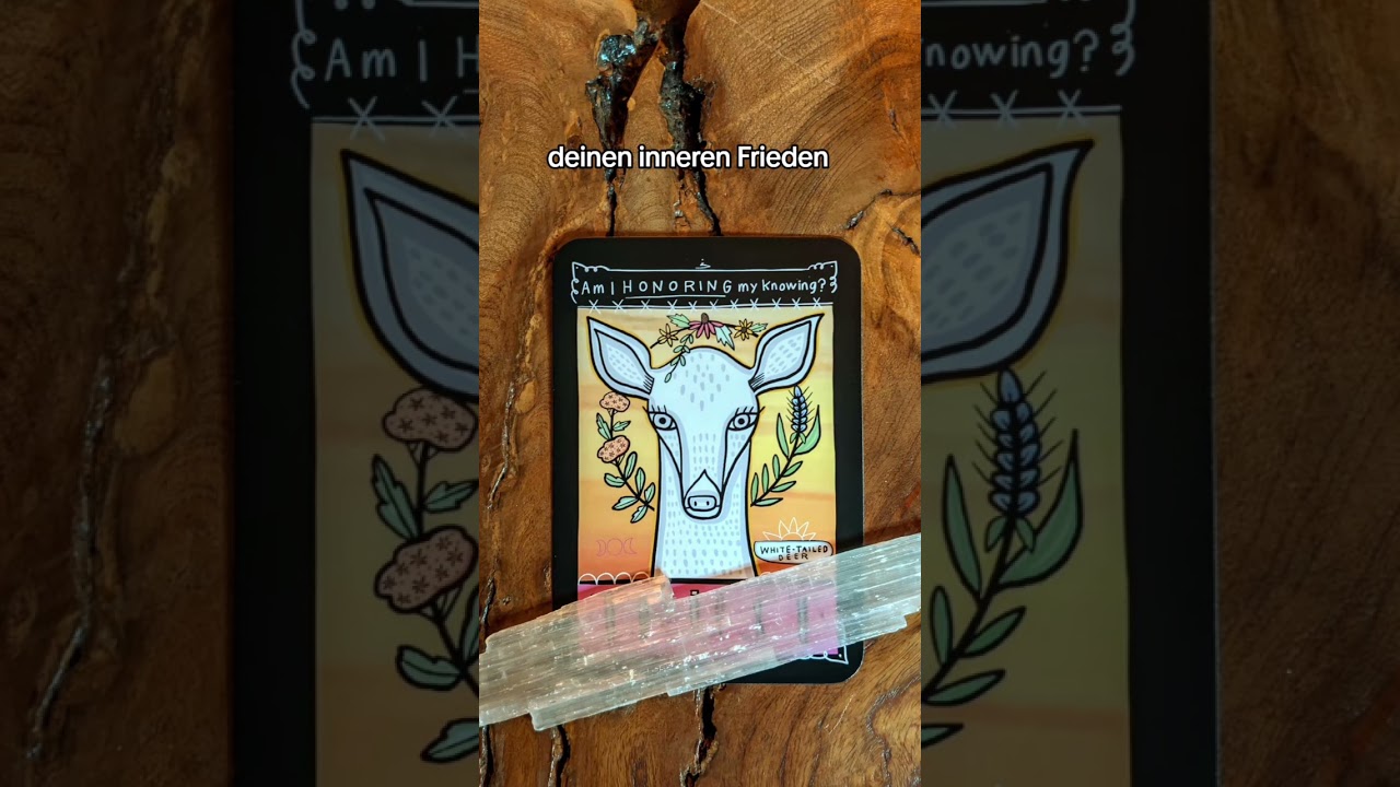 Sanftmut heilt alles - Botschaft der  Wei&szlig;wedelhirschkuh&ndash; 🦌 #orakel #spirituellebotschaft #spirit