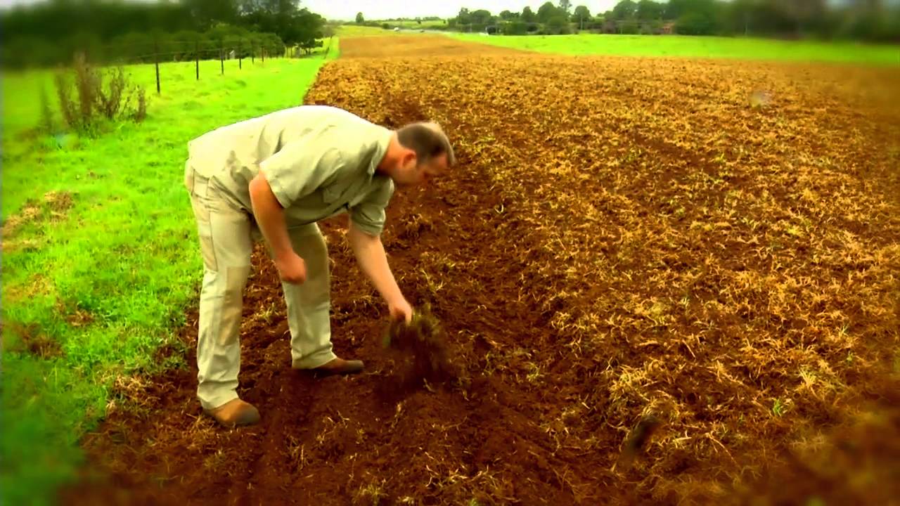 THE FARM AT BYRON BAY - FIRST GARLIC PLANTING