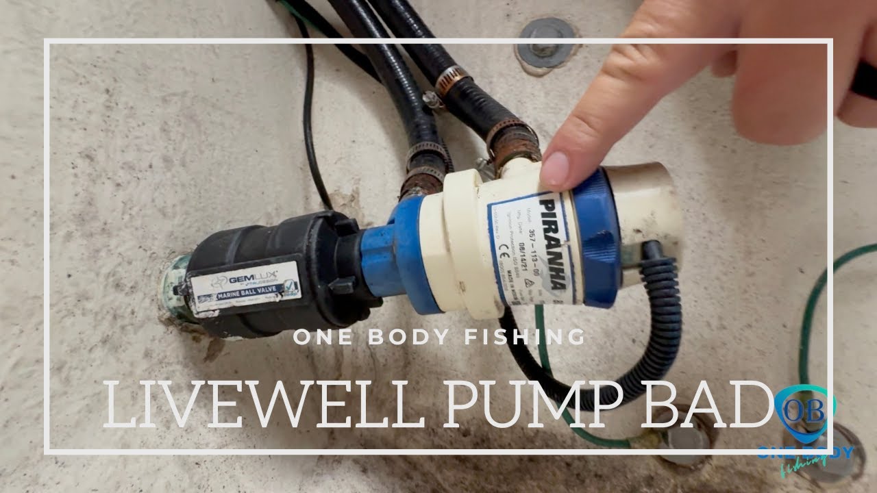 DIY: SHURFLO 800 Installation.. Troubleshoot and Install... PIRANHA LIVEWELL PUMP install.. TwinVee