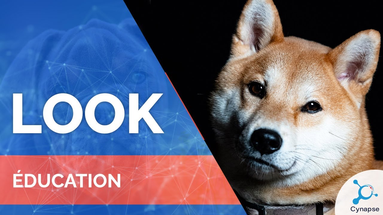 Look - ÉDUCATION