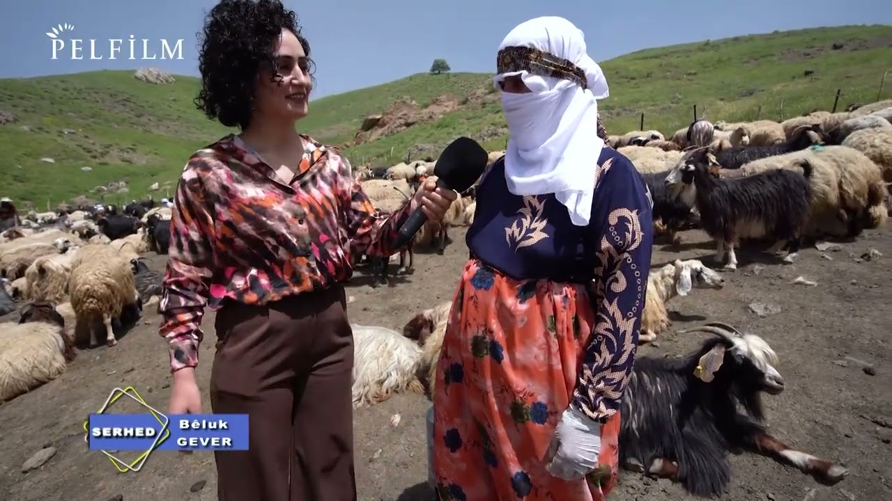BÊRÎVANÊN ZOZANÊN COLEMÊRGÊ