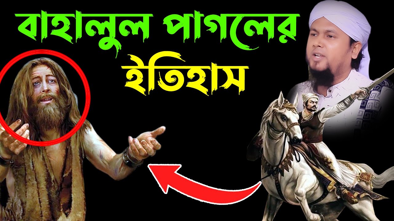বাহালুল পাগল এর ইতিহাস।মাওলানা আবু হানিফ আনোয়ারী
