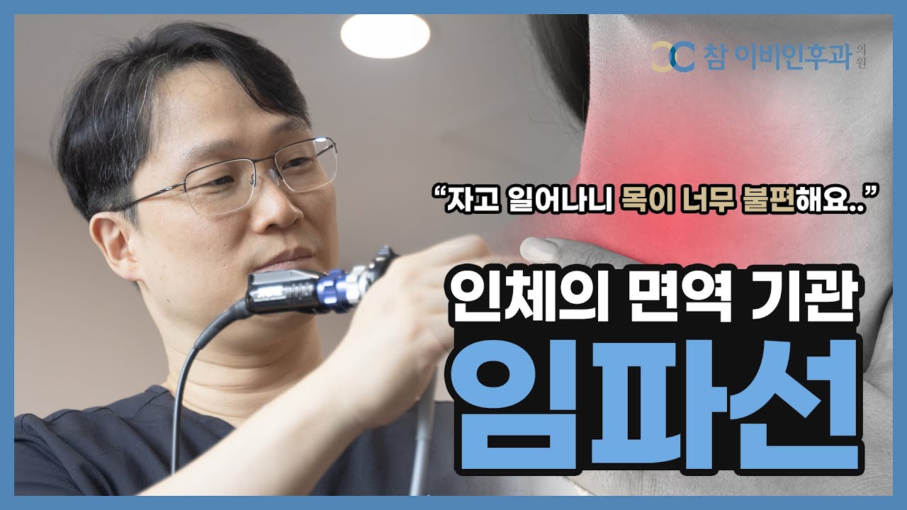[임파선] 림프선과 림프절에 대해 알아봅니다