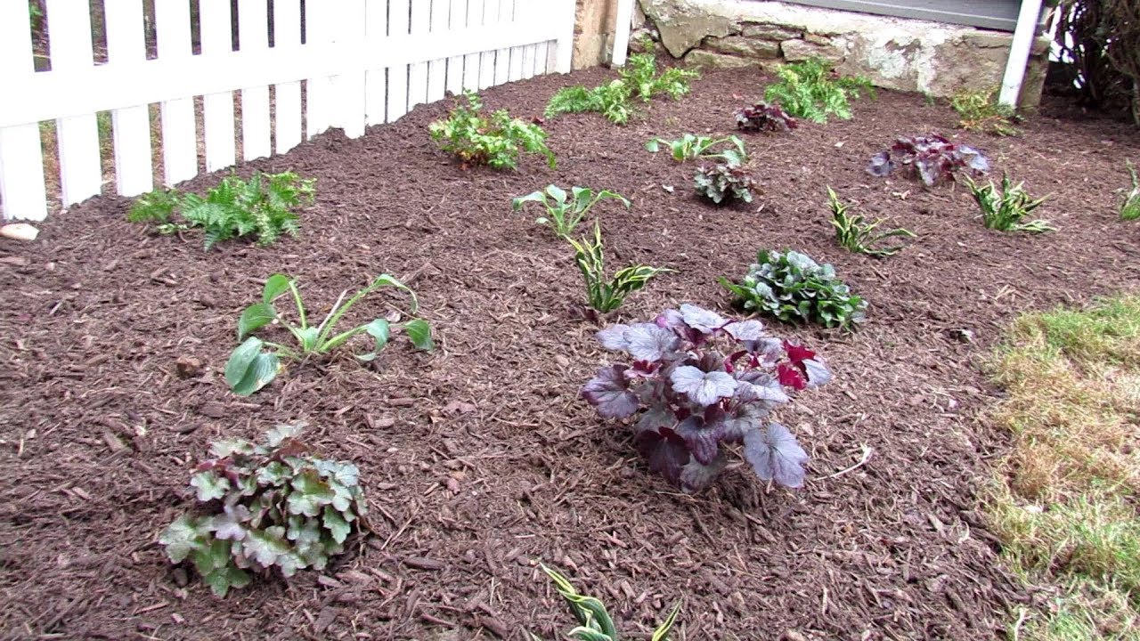 How to Plant A Hosta, Fern & Coral Bells Shade Garden (3-6 Hours of Sun): All the Quick & Easy Steps