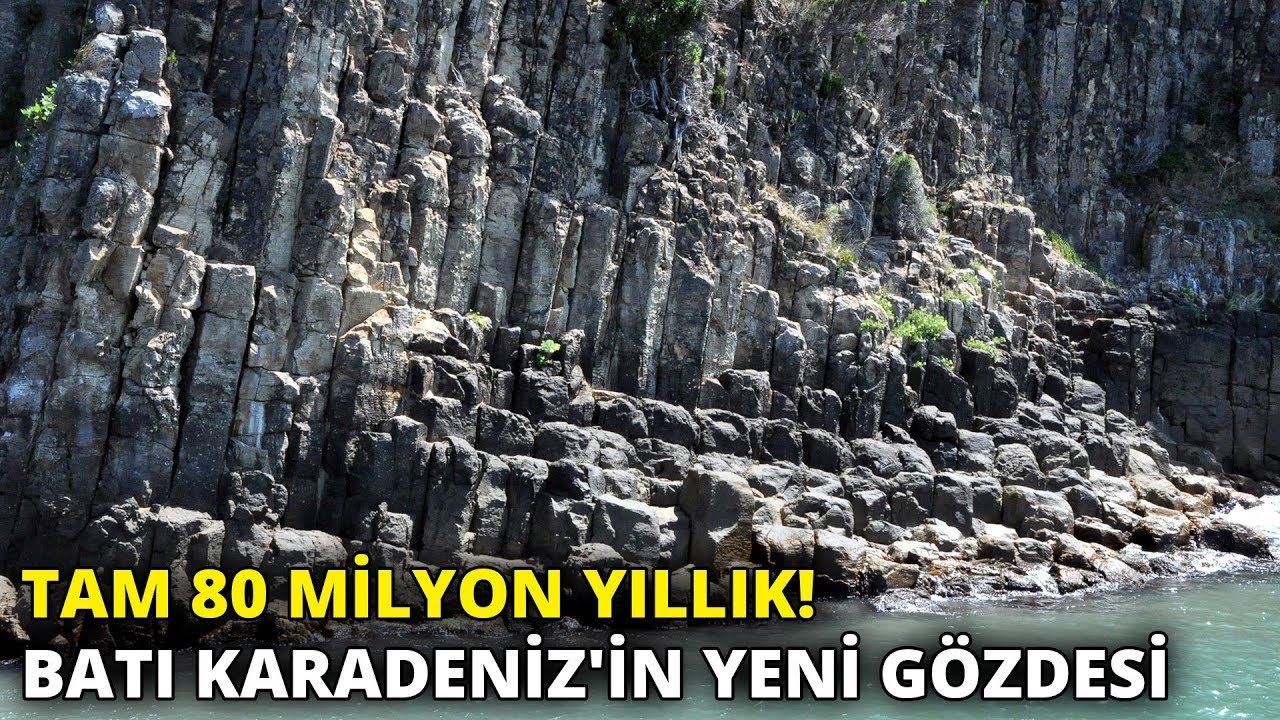 Tam 80 milyon yıllık! Batı Karadeniz'in yeni gözdesi