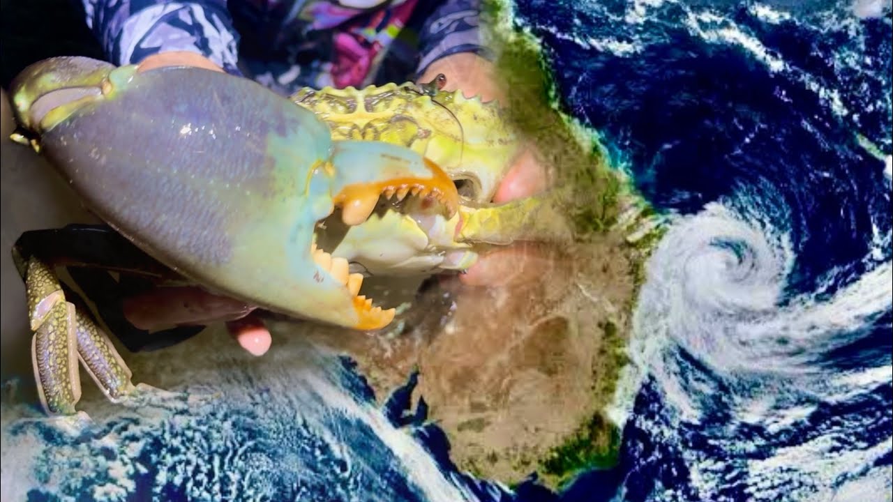 CYCLONE ALFRED really fired up the CRABBING