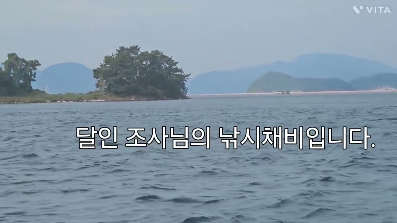 거제도 성포항 고등어낚시 