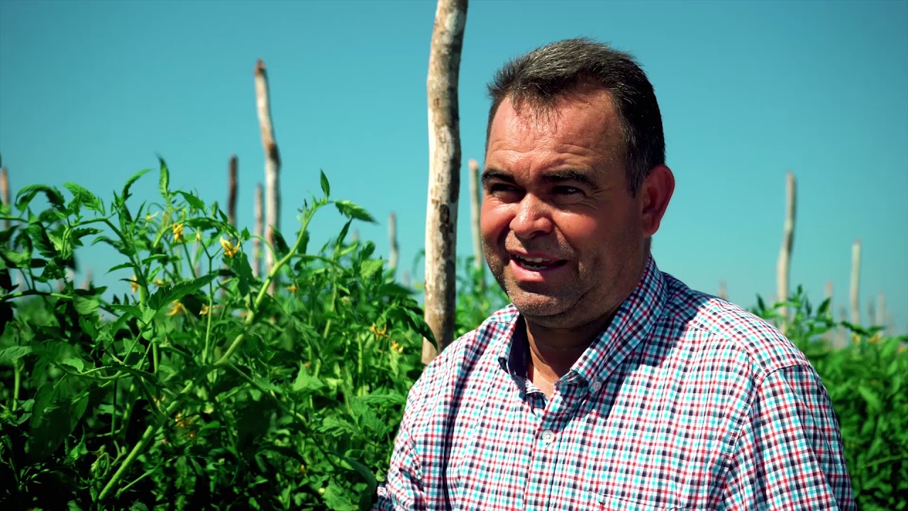 Seminis® en tu Región | Capítulo 1: Sinaloa