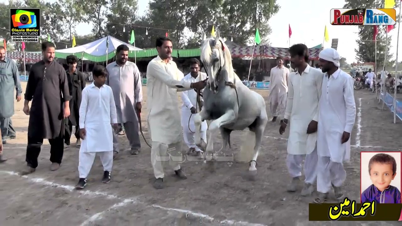 Chardha Suraj ll Horse Dance ll Murad K Kathia Harppa Shaiwal ll 2022